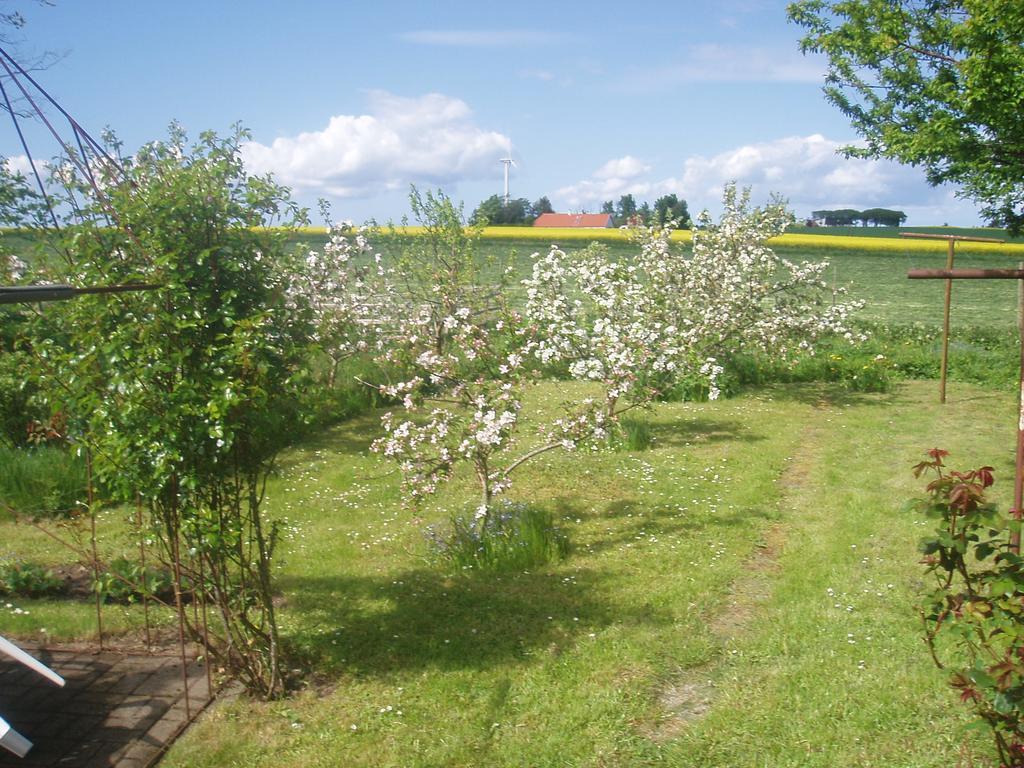 Country House Karby Esterno foto